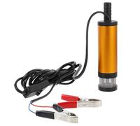 Pompe Électrique Portable D'aspiration 12v Dc, 12l/min, 2m | Acier Inoxydable et Cuivre, Interrupteur en Ligne, pour Transfert Cuve et Fût, Vidange des Eaux