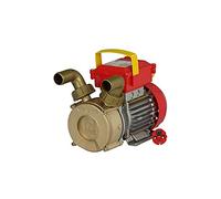 Rover Pompe - électrique Depuis travaso Rover 30 Ce