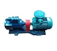 Pompe Hydraulique à Engrenages Manuelle 10000 Psi 700 Bar Manomètre | Petite pompe manuelle portable à haute pression 10000 Psi 700 Bar avec manomètre et adaptateur
