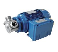 Pompe inox à rotor flexible 3/4″ 400V Tri 900TRM - ALGI EQUIPEMENT - 07900002