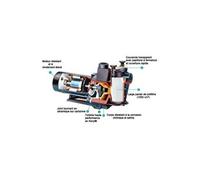 Pompe Piscine Max Flo Hayward - 1.5cv 15m³/h Tri