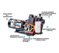 Pompe max flo 1.50 cv tri G