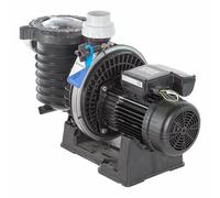 Pompe Pentair La Sta Rite HD compatible eau salée - STRHD073 - 0,75CV tri - 14 m3/h