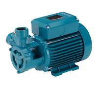 Pompe Peripherique TP100/A 2,2kW 3Hp Trois Phases 400V 50Hz CALPEDA TP