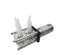 Pompe péristaltique 1 pièce, pompe à eau, pompe doseuse, double tête de pompe, 12V 24V, débit élevé
