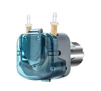 Pompe péristaltique for alimentation nasale, boissons à haute viscosité et machines à café - Moteur électrique à courant continu(BP300-DMUS48A)
