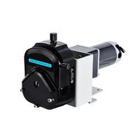 Pompe péristaltique Max 12L/min, pompe à eau 12V 24V, pompe doseuse industrielle for distributeur automatique minier, pasteurisation du lait, OEM200(Speed Controller,24V)