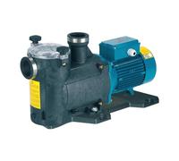 Pompe piscine avec filtre MPC11m 0,37kW 0,5Hp Monophasé 230V 50Hz Calpeda MPCM