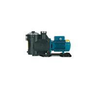 Pompe piscine avec filtre MPC21m/A 0,55kW 0,75Hp 230V 50Hz Calpeda MPCM