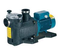 Pompe piscine avec filtre MPC61 1,5kW 2Hp Trois Phases 400V 50Hz Calpeda MPC