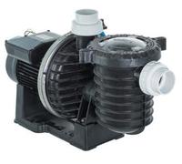 Pompe piscine STA RITE PENTAIR de 16 m3/h en mono ( 1 CV )
