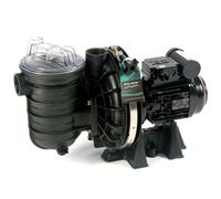 Pompe Sta-Rite 0.50 cv mono