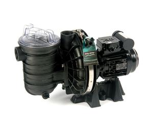 Pompe Sta-Rite 1.50 cv TRI eau salée