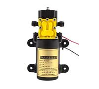 Pompe submersible Pompe à eau ultra silencieuse Pompe à eau électrique agricole à grand débit de 8 L/min Pulvérisateur d'eau