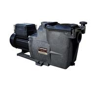 Hayward Pompe Super Pump 0,50 CV – 7,5 m³/h Mono
