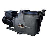 Pompe Super Pump 0,50 CV / 7,5 m³/h Mono - Hayward
