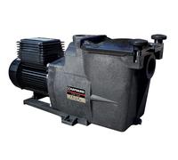 Pompe Super Pump 1,50 CV / 18 m³/h Mono - Hayward