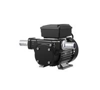 VEVOR Pompe de Transfert Carburant Diesel Kérosène Électrique 230 V CA 60 L/min