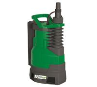 Pompe vide cave 750 W (Eaux Chargées)