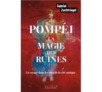 Pompéi, la magie des ruines Un voyage dans les rues de la cité antique - Gabriel Zuchtriegel - Alisio - broché - Essai