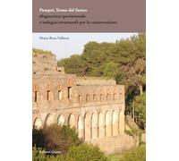Pompei, Terme del Sarno: diagnostica sperimentale e indagini strutturali per la conservazione