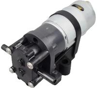 Pompes à eaux usées/effluents CC 12 V/24 V, pompe engrenages électrique C5XX, qualité alimentaire, distributeur d'eau chaude, débit de 1,2,5 l/min, transfert solvants et liquides huileux(C512-2800)