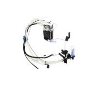 Pompes Carburant Pour Auto Ensemble Pompe À Carburant Essence Compatible Avec Range Pour Rover 4.2T 2002 2003 2004 2005 2006 2007 2008 2009 LR015177 WGS500150