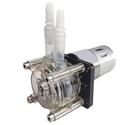 Pompes doseuses pour aquarium 24 V industrielles péristaltiques 500 ml/min Dosage miniature sous vide durable Grand roulement à billes pompes doseuses liquides