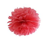 Pom Pom Pon pon di carta ROSSO 25 cm DECORAZIONE PARTY FESTE LAUREA