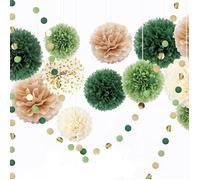 Pompons Papier Lanterne Fächer Set de 15 Pièces Boule Fleur Papier Décoratifs Lanterne et Lanternes en papi LAMPION DE DECO DE FETE
