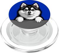 Pomsky Cute Peeking Poméranian Husky Mix Amoureux des Chiens PopSockets PopGrip pour MagSafe