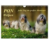PON - Chiots, chaque jour une grande aventure, Version française (Calendrier mural 2026 DIN A4 portrait), Calendrier CALVENDO mensuel
