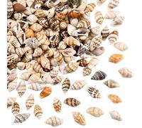 PONABEADIY 1 boîte de Perles de Coquillage Naturelles Spirales de 100g Petites Coquillages avec Trous Style Plage Hawaïenne Style Bohème pour la Fabrication de Bijoux de Décorations de Bracelets de L