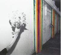 Pond - Hobo Rocket [Import]