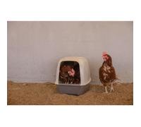 Pondoir pour poules - KERBL - 52 x 39 x 39 cm