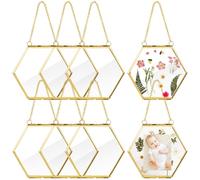 PONDON Lot de 8 cadres photo à suspendre en forme de fleur pressée dorée avec chaînes, cadres hexagonaux de fleurs séchées pour décoration