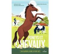 Poneys et chevaux Hélène Pérignon (Auteur), Sébastien Pelon (Illustration), Arnaud Roi (Auteur)