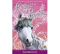 Poneys magiques : Un vœu spécial