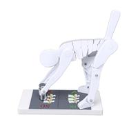 Pongnas Modèle de Colonne Vertébrale pour Haltérophilie, avec Posture de Flexion du Corps pour Démonstration en Biomécanique