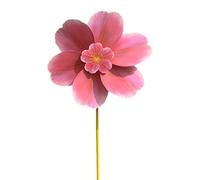 Ponheels de jardin, spinners de jardin | Ponheels de jardin de cerisiers Moulins à vent | Pose de décoration de jardin de fleurs roses ornements de pelouse Faveurs de fête pour enfants