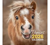 Ponies Calendar 2026: An Adorable Celebration of Our Favorite Little Friends