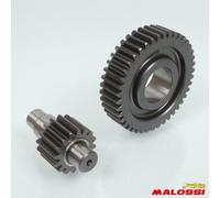 Pont Arrière De Transmission Malossi Pour Scooter Piaggio 125 Gtx Super Hexagon Après 2001 6711860 / Htq Gears 16x42 Neuf