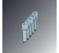 Pont de jonction Contenu: 10 pc(s) Phoenix Contact FBRI 5-5 N 3000188