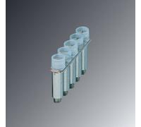 Pont de jonction Contenu: 10 pc(s) Phoenix Contact FBRNI 5-5 N 3000146