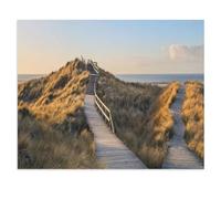 Pont en Papier à Travers Les Dunes vers la Plage de Norddorf, Amrum，Puzzle 1000 Pièces, Puzzles en Papier, Jouets Éducatifs pour Enfants Adultes Cadeau d'anniversaire（50x70cm）-X7