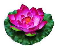 Pontec PondoLily Rouge.