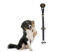 PoochieBells Cold Nose Warm Heart Sonnette pour Chien