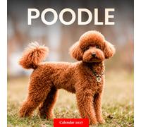 Poodle Calendar 2027: Poodle Portraits and Outdoor Scenes
