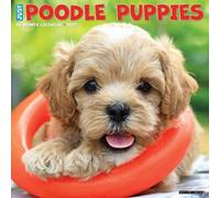 Willow Creek Press, Just Poodle Puppies Calendrier mural 2027