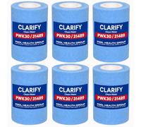 Pool Health Group Lot de 6 filtres de spa Meltblown PWK30 plus durables, remplace Watkins 31489, Unicel C-6430, Filbur FC-3915, P/N0969601,73178, Watkins 73250, 71825, filtre pour jacuzzi, bleu